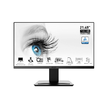MSI PRO MP223 FHD 100HZ VA MONITOR